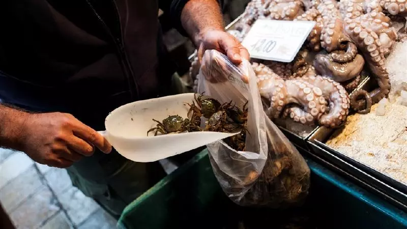 Fotos del hotel Pensione Wildner:  6