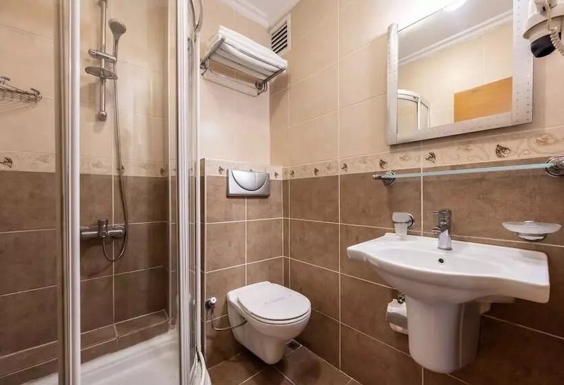 Fotos del hotel Bristol:  19