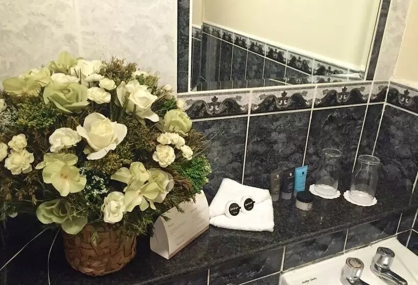 Fotos del hotel Dublin Citi  Of Temple Bar:  15