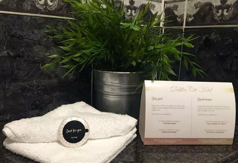 Fotos del hotel Dublin Citi  Of Temple Bar:  2