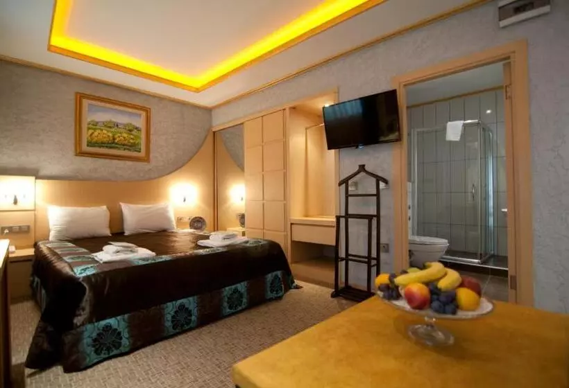 Fotos del hotel Grand Ambiance:  4