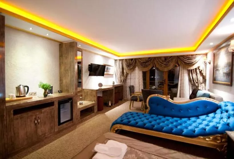 Fotos del hotel Grand Ambiance:  18