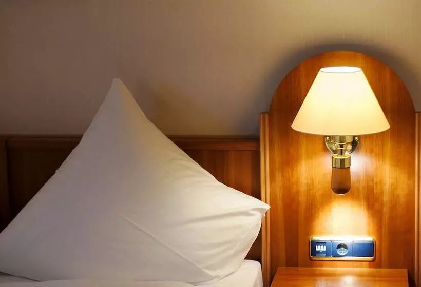 Fotos del hotel Ilbertz Garni:  7