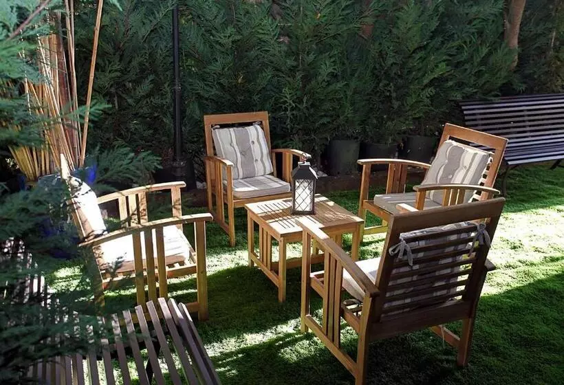 Fotos del hotel Palm Beach:  6