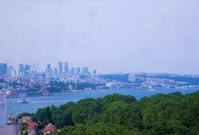 Fotos del hotel The Istanbul Hotel:  13