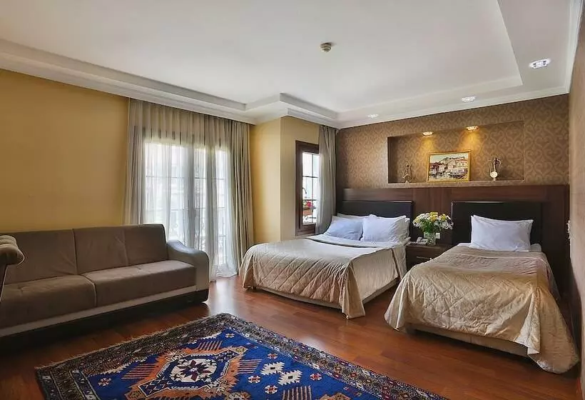 Fotos del hotel The Istanbul Hotel:  8