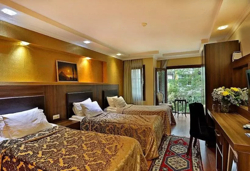 Fotos del hotel The Istanbul Hotel:  14