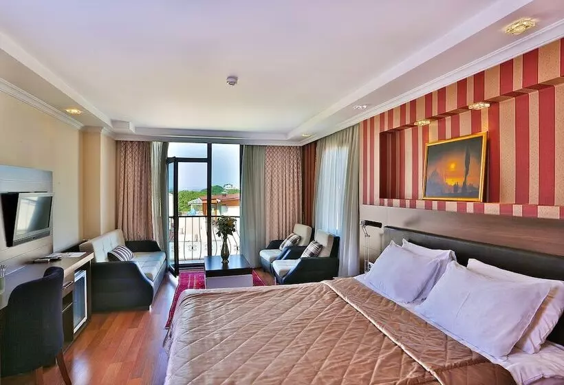 Fotos del hotel The Istanbul Hotel:  24