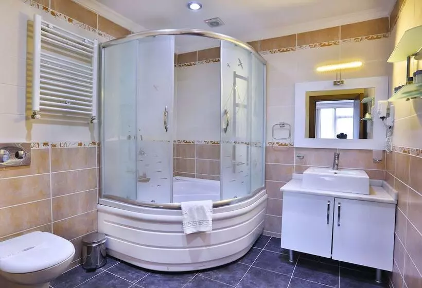 Fotos del hotel The Istanbul Hotel:  10