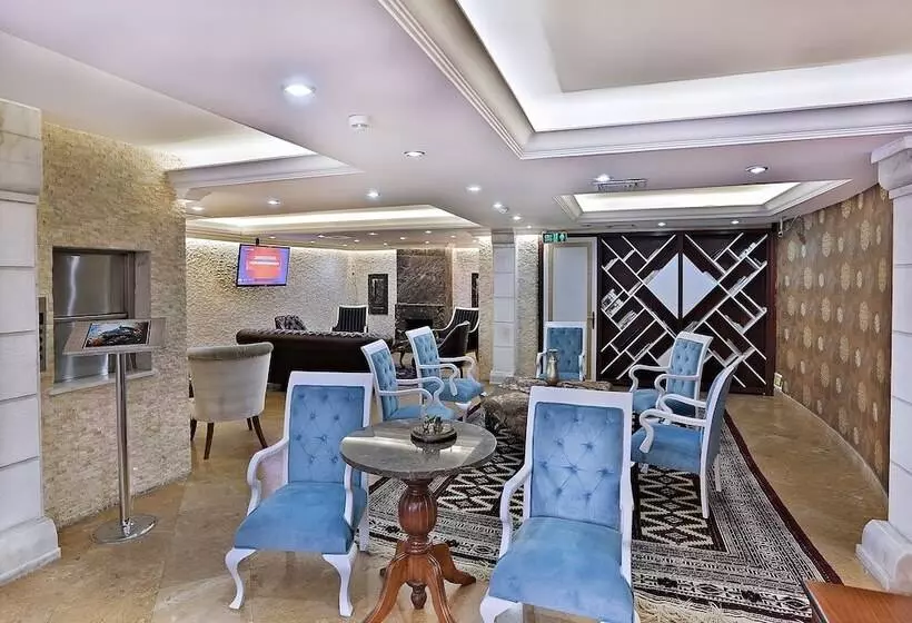 Fotos del hotel The Istanbul Hotel:  2