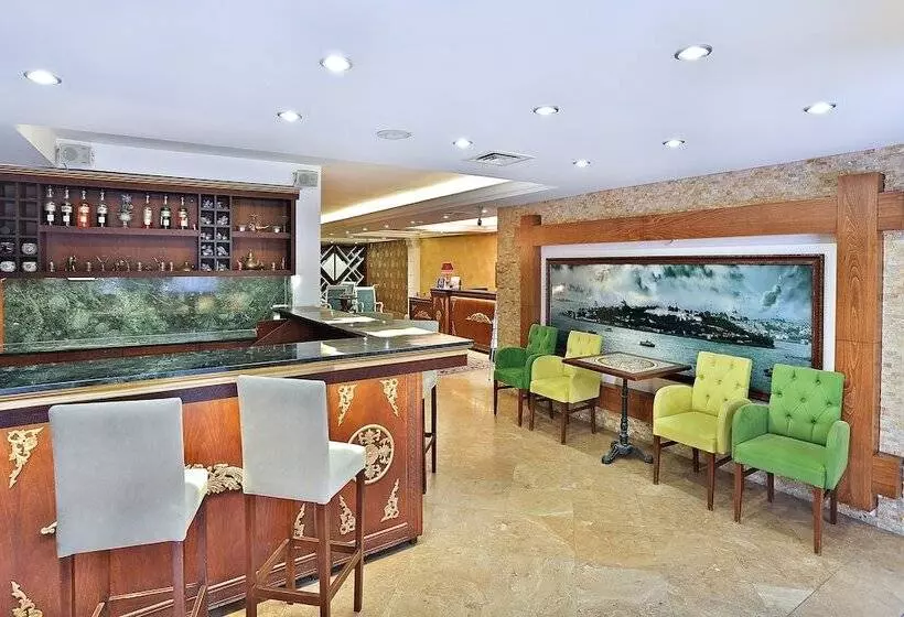 Fotos del hotel The Istanbul Hotel:  4
