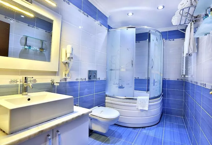 Fotos del hotel The Istanbul Hotel:  6