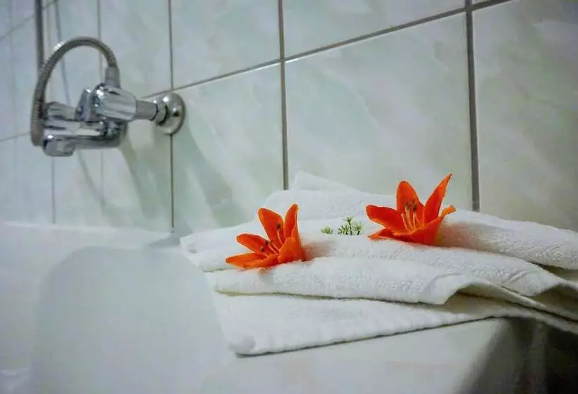 Fotos del hotel Karlshorst:  25