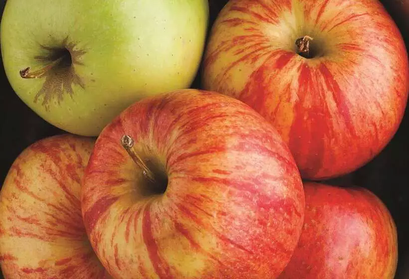 Fotos del hotel La Quinta By Wyndham Houston Hobby Airport:  17