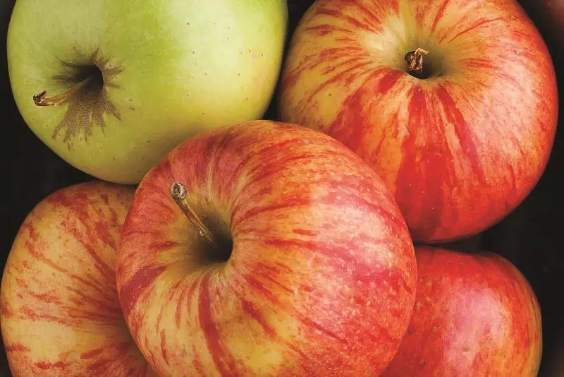 Fotos del hotel La Quinta By Wyndham Houston Hobby Airport:  8