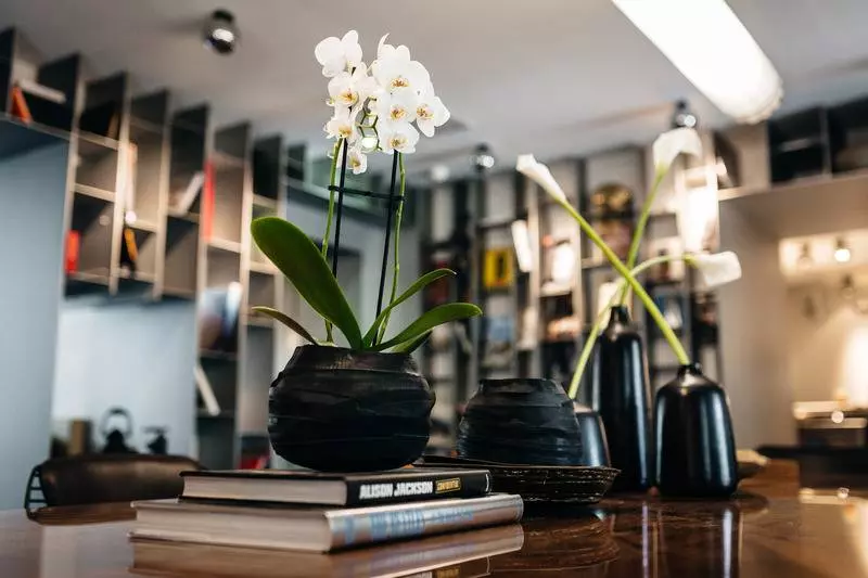 Fotos del hotel Sir Savigny:  11