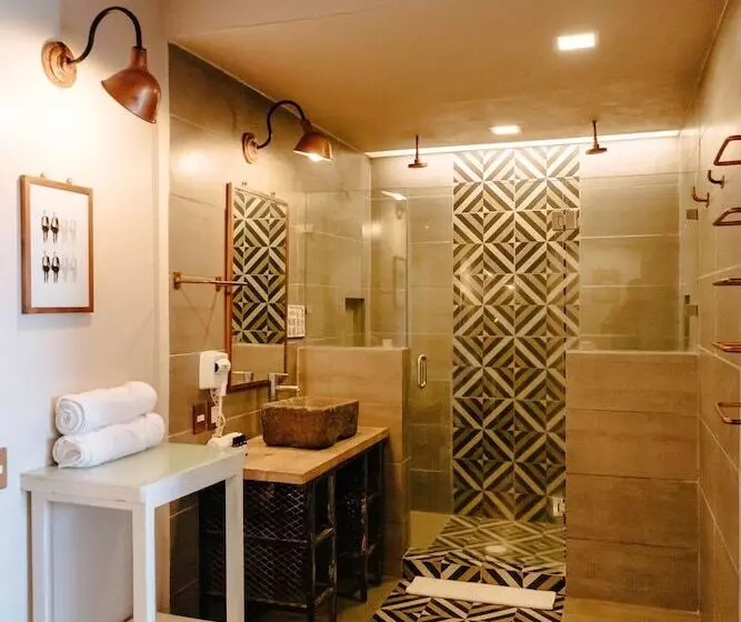 Fotos del hotel Del Portal San Miguel De Allende:  25