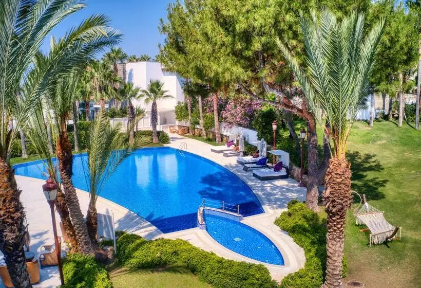 Fotos del hotel Grand Yazici Hotel & Spa Bodrum  Boutique Class:  19