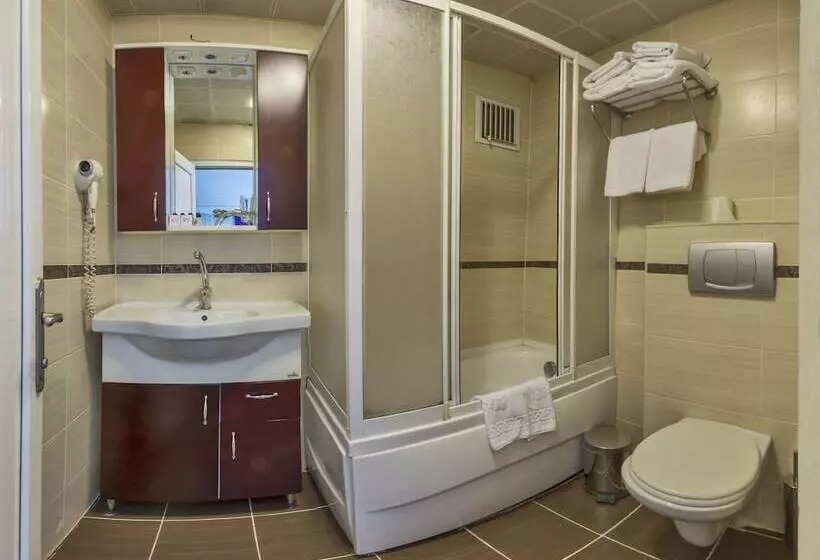 Fotos del hotel Istanbul Holiday:  8