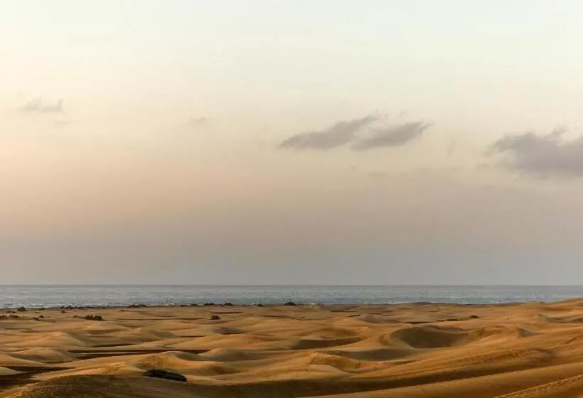 Fotos del hotel Santa Mónica Suites:  24