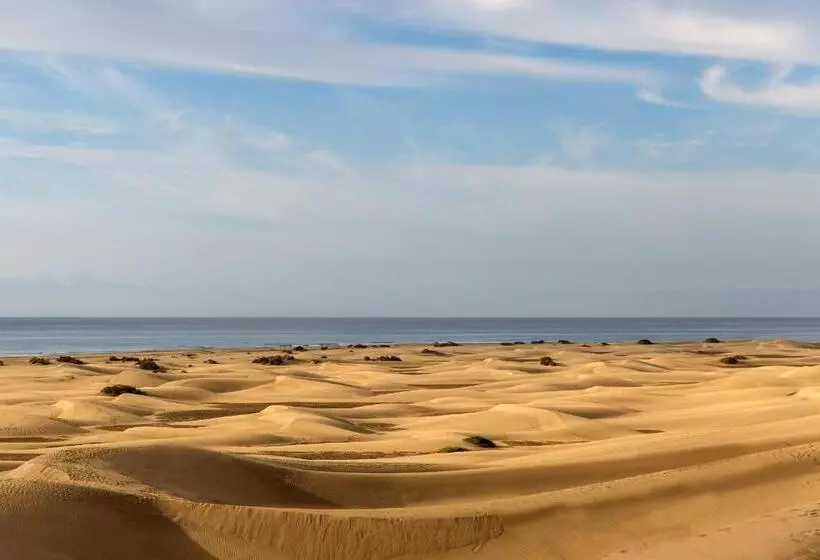 Fotos del hotel Santa Mónica Suites:  25