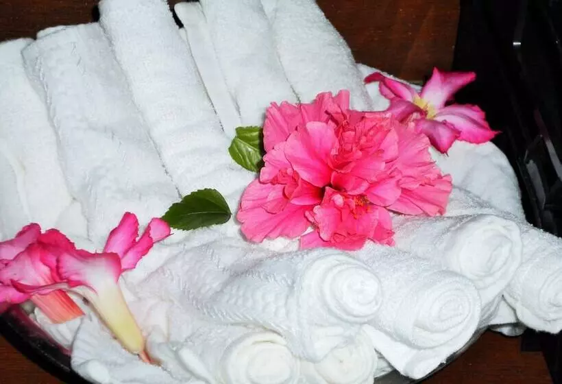 Fotos del hotel Zihua Caracol:  4