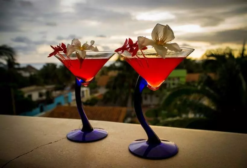 Fotos del hotel Punta Esmeralda Suites & Hotel:  19