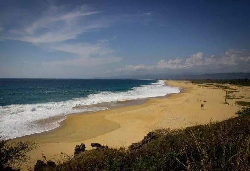 Fotos del hotel Punta Esmeralda Suites & Hotel:  22