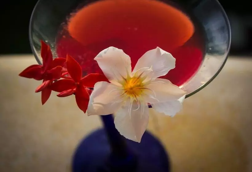 Fotos del hotel Punta Esmeralda Suites & Hotel:  9