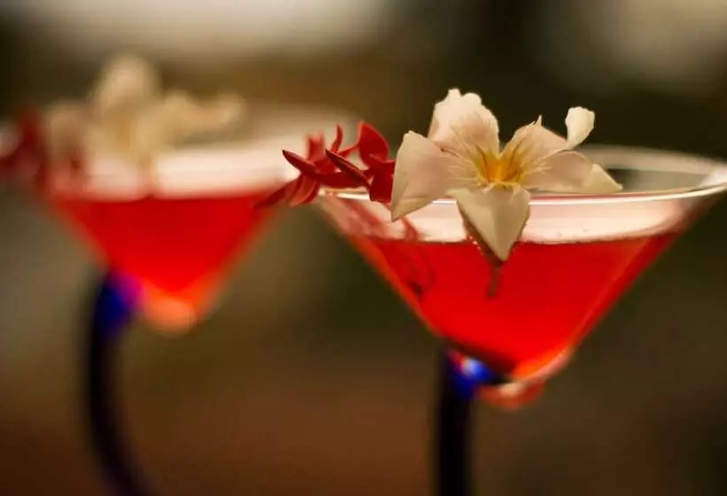 Fotos del hotel Punta Esmeralda Suites & Hotel:  16