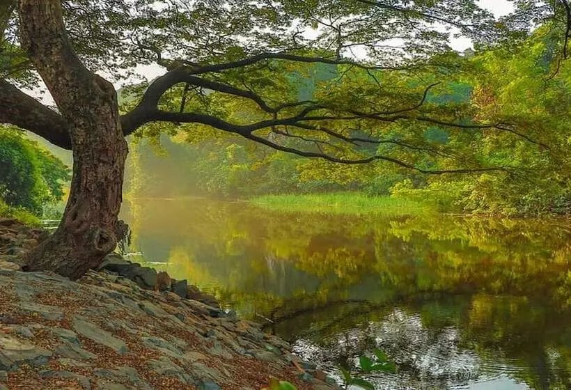 Fotos del hotel Holiday Inn Mumbai International Airport, An Ihg:  7