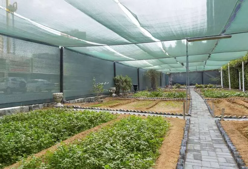 Fotos del hotel Ramada Hotel & Suites By Wyndham Ajman:  12