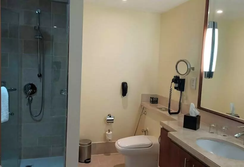 Fotos del hotel Ramada Downtown Dubai:  25