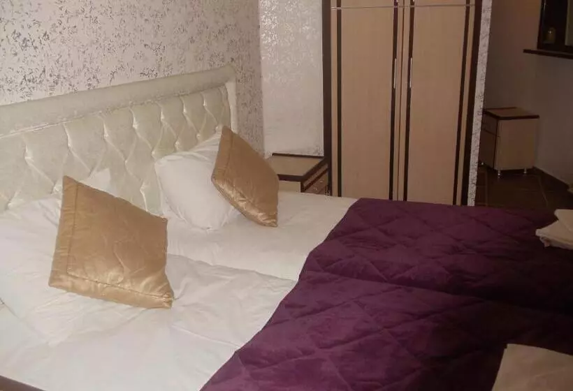 Fotos del hotel Ares:  18