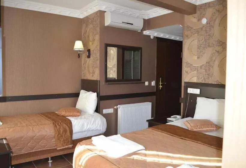 Fotos del hotel Ares:  15