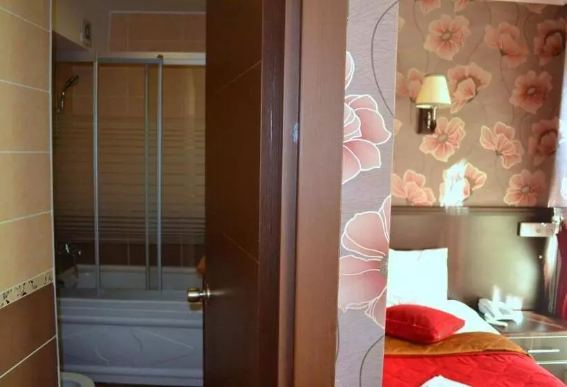 Fotos del hotel Ares:  24