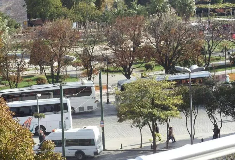 Fotos del hotel Ares:  4