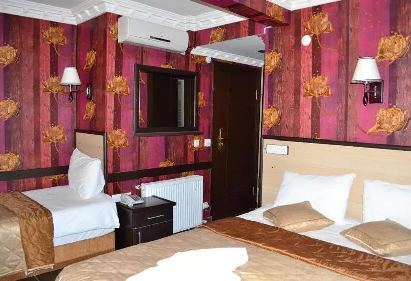 Fotos del hotel Ares:  9