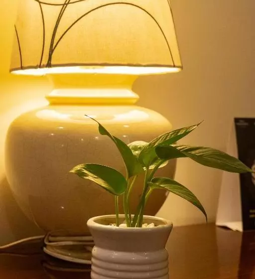 Fotos del hotel Classic Sarovar Portico Trivandrum:  14