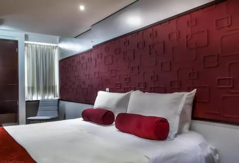 Fotos del hotel 3h  Florencia Plaza Medellin:  17