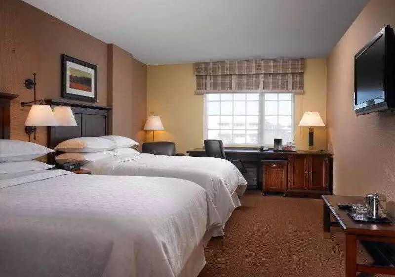 Fotos del hotel Sheraton Houston West:  2