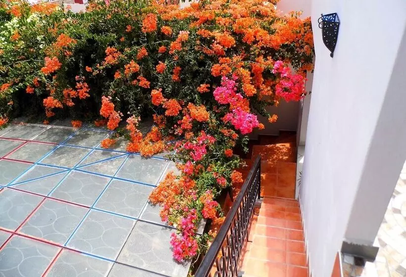 Fotos del hotel Riad Marlinea:  8