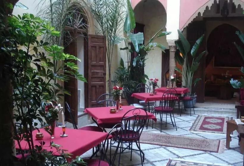 Fotos del hotel Riad Marlinea:  23
