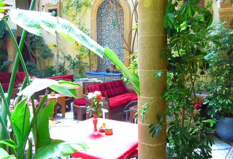 Fotos del hotel Riad Marlinea:  12