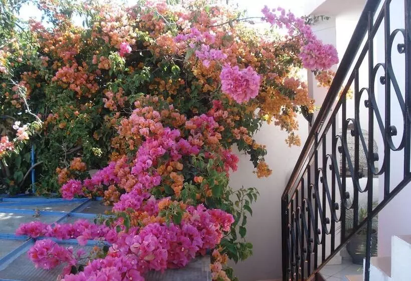 Fotos del hotel Riad Marlinea:  22