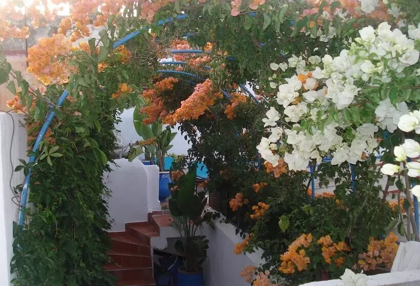 Fotos del hotel Riad Marlinea:  20