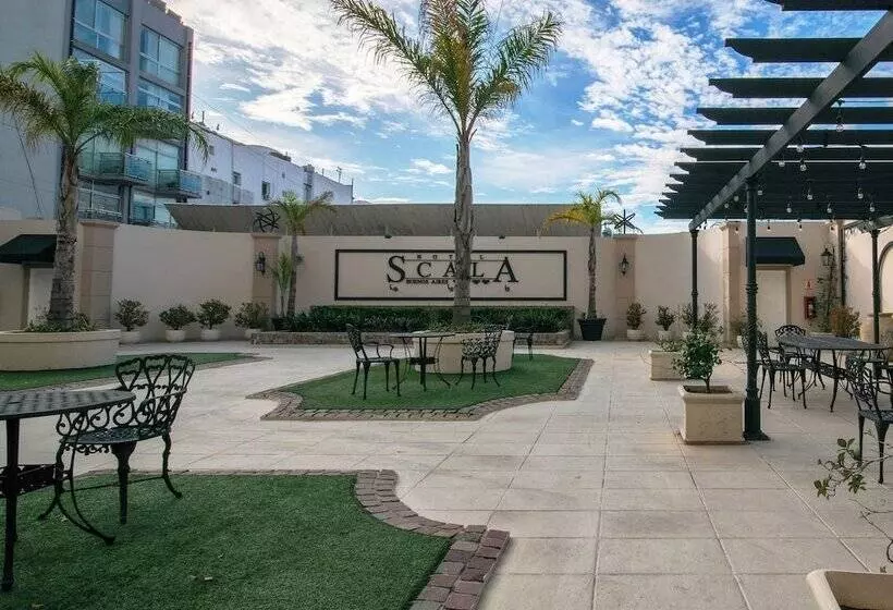 Fotos del hotel Scala Hotel Buenos Aires:  19