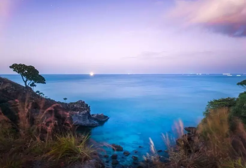 Fotos del hotel The Houben:  19