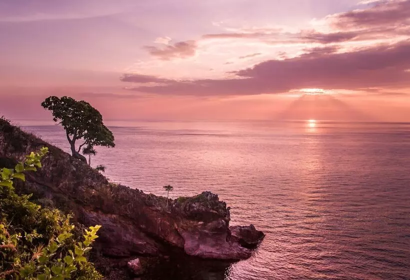 Fotos del hotel The Houben:  13