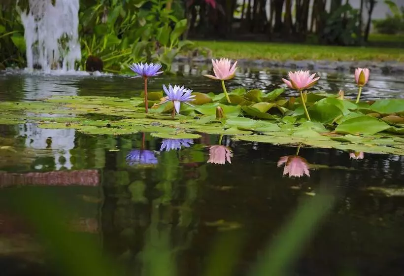 Fotos del hotel Hotel Robledal:  8